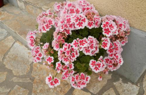 Apartment Slavica - Foto 22