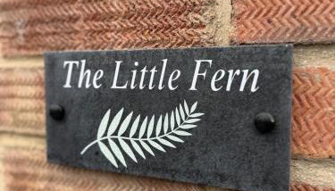 The Little Fern - Foto 3