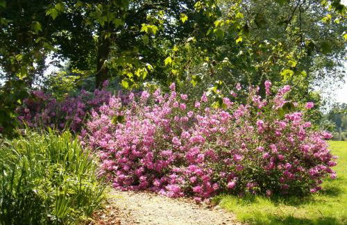 Holiday Home Château de Boucéel Mont Saint Michel - Foto 19