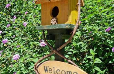 Quinta da Idalina - Foto 20