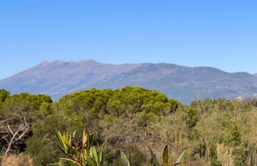 Ca l'Esclatat - Foto 50