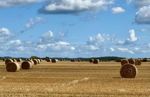 Gutshaus Haidhof - Foto 52