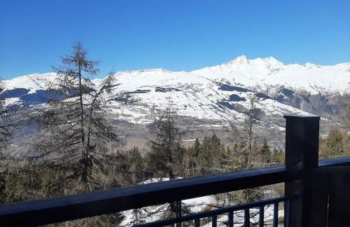 RESIDENCE LE RUITOR Duplex dernier étage vue panoramique classé 4 Cristaux Paradiski - Foto 15