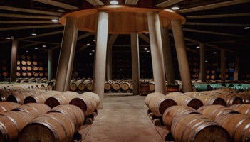 Royal Vineyard (Alava) - Photo 5