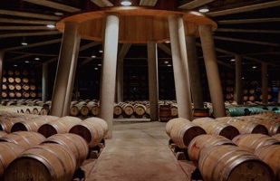 Royal Vineyard (Alava) - Photo 5
