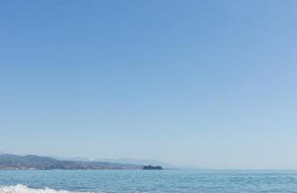 Elite Ocean House - Photo 30