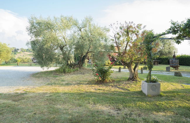 Agriturismo Cantagrillo - Foto 59