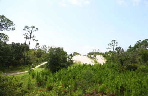 Gulf Coast Condos on the Sand Dunes - 101 - Foto 24