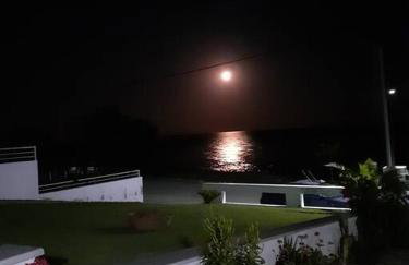 Blue and white - Foto 30