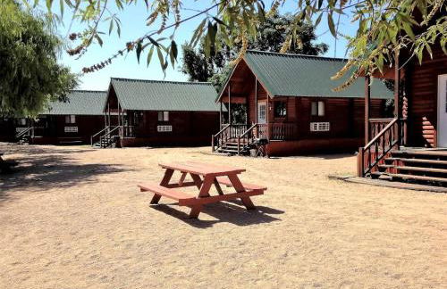 Charming Lakeview Cabin with Firepit Near Vineyards and Adventure Escapes in Buchanan Dam, Texas - Foto 12