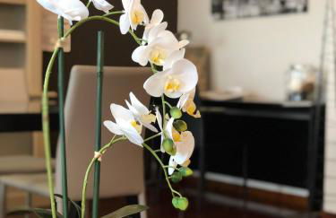 Mundo-Abeona - Foto 3