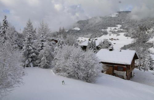 La Résidence de L'Ours - Foto 61