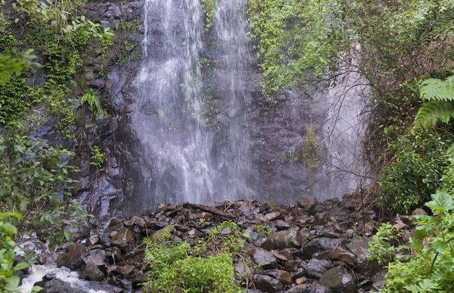 Nimbin Waterfall Retreat - Photo 33
