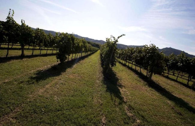 Heart of Emilia-romagna Apartment - Foto 35