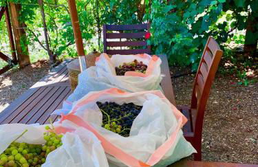 The Chi-Treehouse at Sunny Mellow Eco Villa - Foto 20