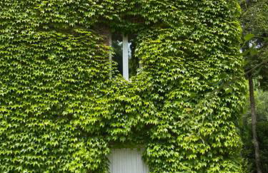 Moulin Grand, entire accommodation, 2br park river - Foto 34