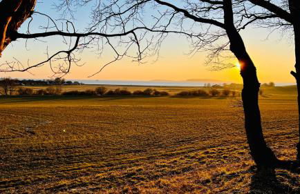 Kajüte Jonas - Foto 16