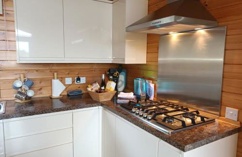 Fern Lodge - Luxury Lodge with steamroom in Perthshire - Photo 14