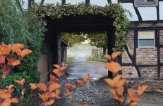 Ferienhaus Q1, Ruhe und Erholung in der Eifel - Foto 38