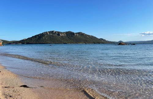 T4 neuf Porto Vecchio Calarossa - Foto 6