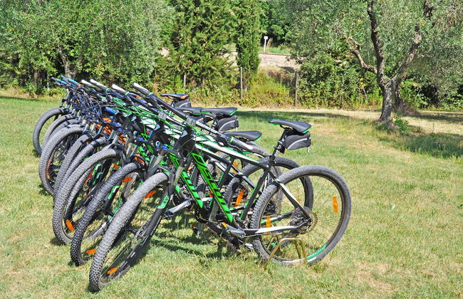 Agriturismo Belmonte Vacanze - Foto 19