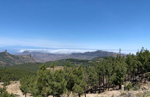 Villa Rosaura - Foto 59