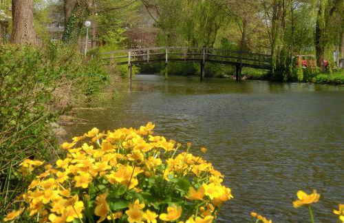 Ferienwohnung Zentrum Buxtehude - Photo 17