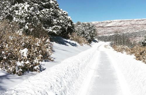 Old Raton Pass Base Camp Cabin with Loft Northern New Mexico Mountain Ranch on Colorado Border cabin - Foto 32