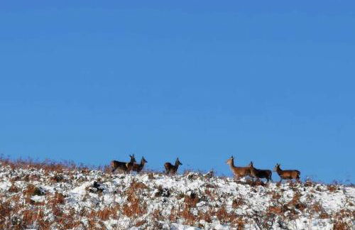 Astella Lodge. - Photo 13