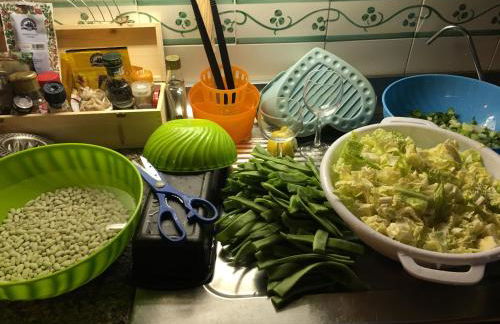 Podere Terreno alla Via della Volpaia - Foto 135