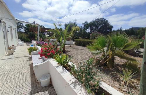 Quinta Azul - Foto 62