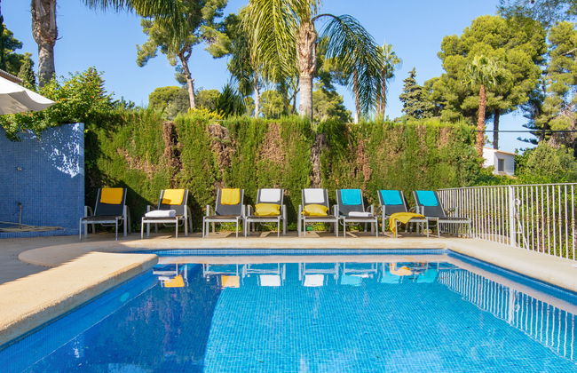 Eucaliptus - Foto 31