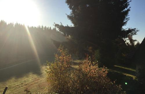 Haus Fichtelgebirge - Foto 31