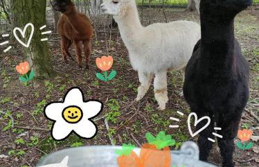 Dworek pod Liwoczem - Foto 44