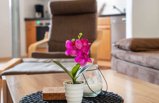 Apartment With Fenced Garden in Faid - Foto 16