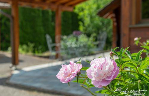Chalet La Calougeotte, jardin, spa et sauna privés - Foto 11