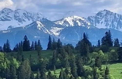 Dom z widokiem na Wierchy - panorama na Tatry - Traditional folk house - Foto 57