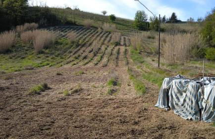 Sleep & Relax - Foto 18