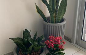 Lindo Apartamento com Vista Mar - Foto 20