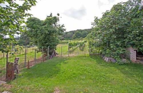 Ferienwohnungen Anneliese - Foto 25