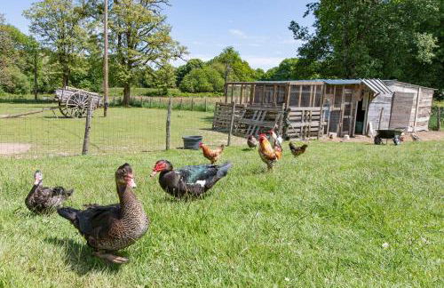 Gîte Jean Scafer, Piscine chauffée, Wifi, Salle de jeux, Animaux de la ferme - Foto 30