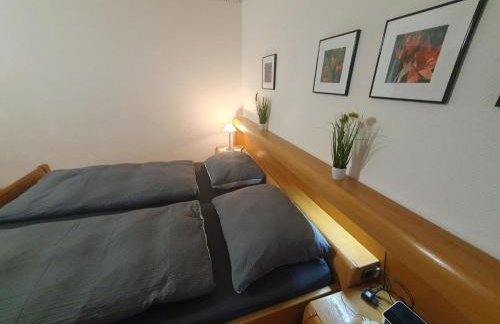 ABM Apartment 14 - Photo 8