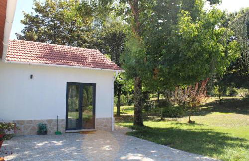 Quinta das Pedrosas - Foto 19