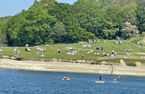 Blackthorn Meadow - Photo 28