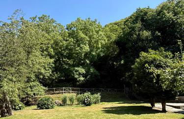 The Cottage in the Trees - Foto 3