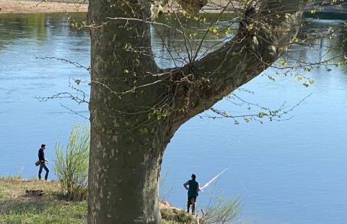 Le Charles VII CHINON - Foto 24