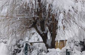 Dom Aga Bieszczady 10 osobowy - Foto 13