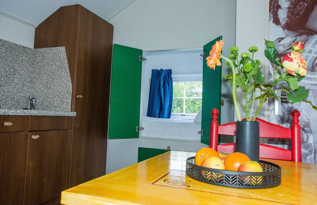 Charming Lodge in Staphorst With Pool Access - Foto 34