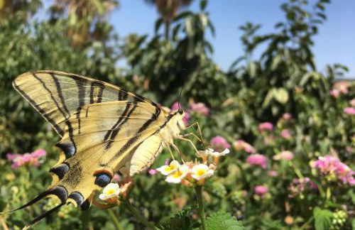 Vakantieverblijf Villa Kluever - Photo 37