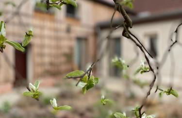 Kochstedter Wohnstuben - Wohnen mit Naturbaustoffen in der Bauhausstadt Dessau - Foto 49